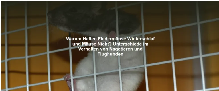 Warum Halten Fledermäuse Winterschlaf und Mäuse Nicht? Unterschiede im Verhalten von Nagetieren und Flughunden