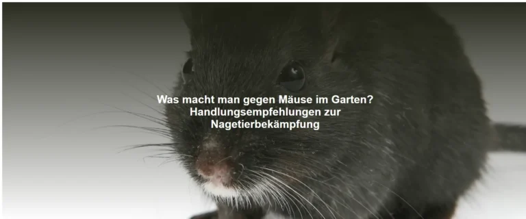 Was macht man gegen Mäuse im Garten? Handlungsempfehlungen zur Nagetierbekämpfung