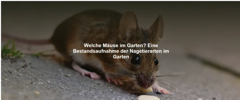 Welche Mäuse im Garten? Eine Bestandsaufnahme der Nagetierarten im Garten