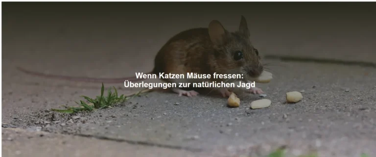 Wenn Katzen Mäuse fressen: Überlegungen zur natürlichen Jagd