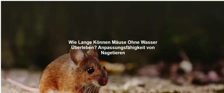 Wie Lange Können Mäuse Ohne Wasser Überleben? Anpassungsfähigkeit von Nagetieren