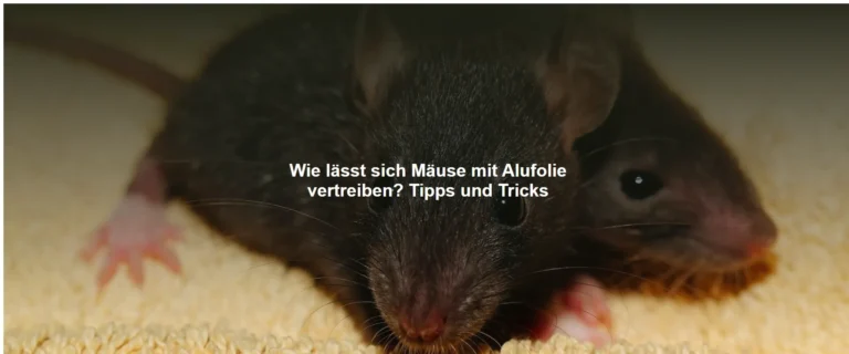 Wie lässt sich Mäuse mit Alufolie vertreiben? Tipps und Tricks