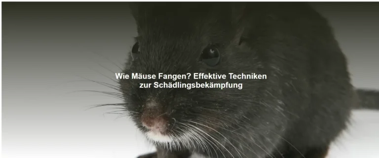 Wie Mäuse Fangen? Effektive Techniken zur Schädlingsbekämpfung
